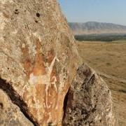 Petroglyph of a horse carved into a rock with grassland in the background